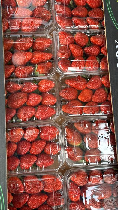 Клубника оптом.Египет балғын