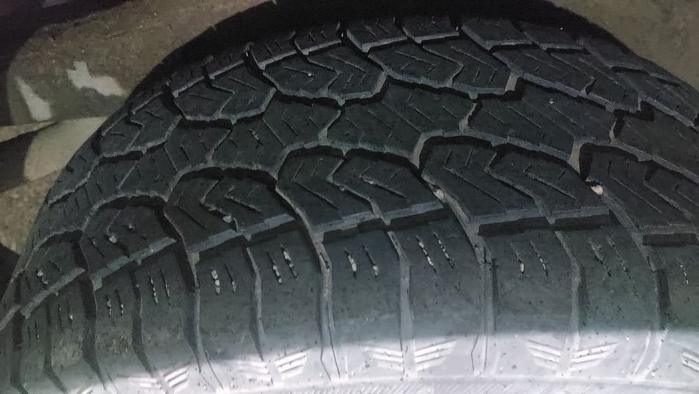 Резины на Chelencher montero