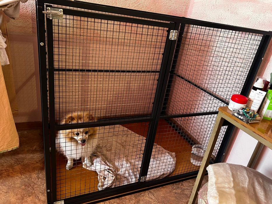 Вольер для собак