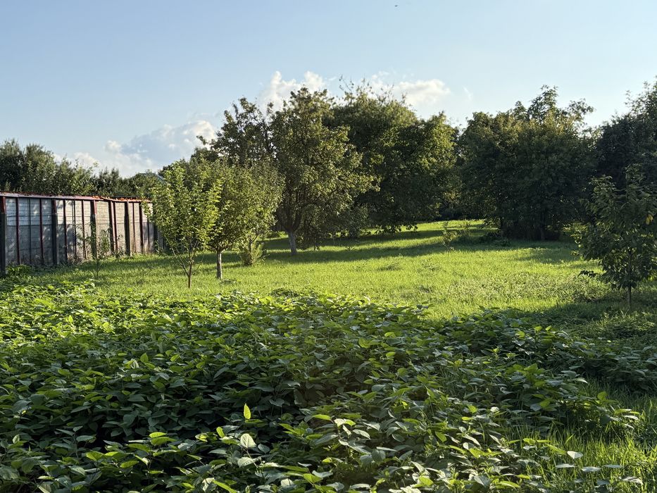 Ofer spre Vanzare Teren intravilan zona Titulescu 3.000 mp ( 30 Ari )