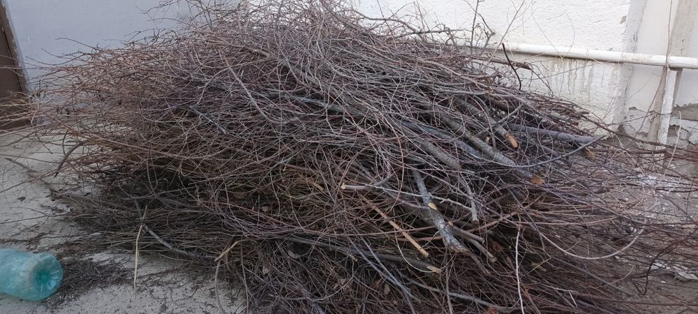 O'tin sotiladi hammasi 600.000