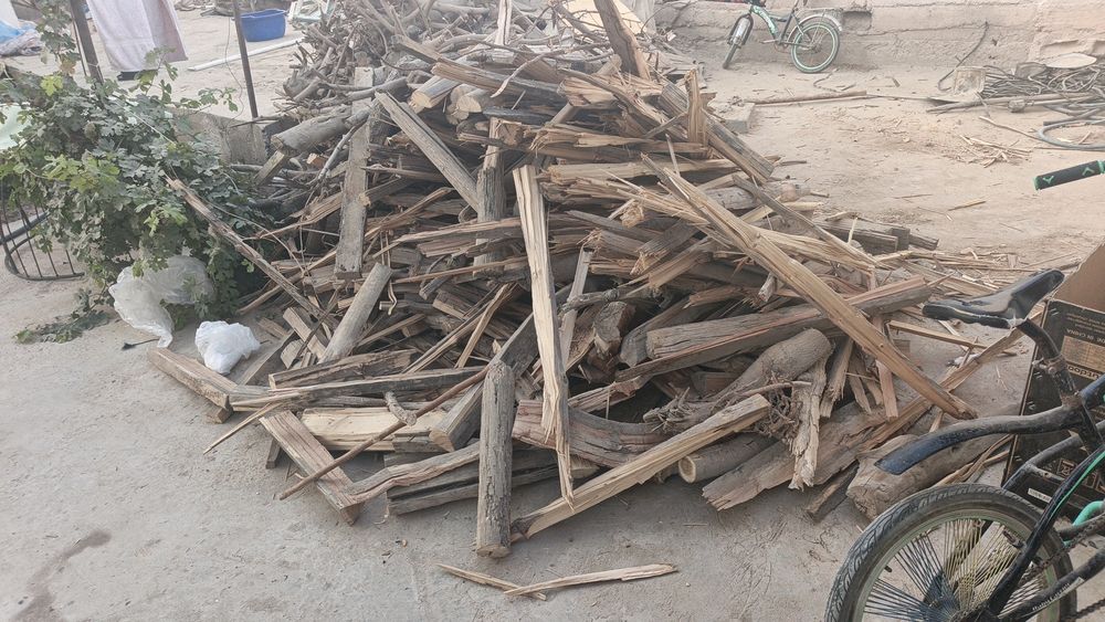 Taxta va daraxt oʻtinlar