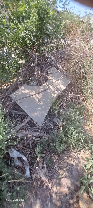 Otin sotiladi bir moshin chiqadi