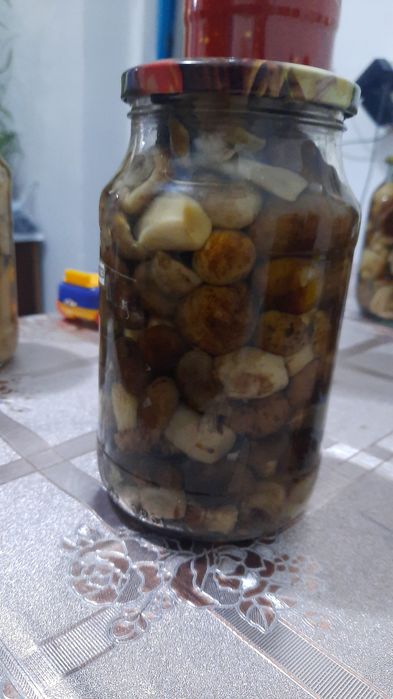 Домашние  засолки