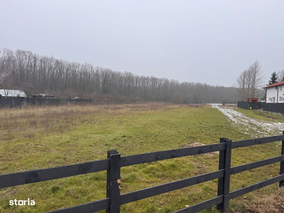 Teren Ciolpani/Snagov: la 2 min de padure si DN1. Toate utilitatile