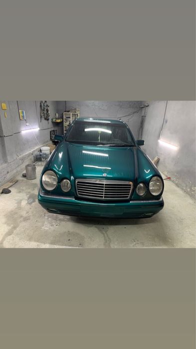 Кастаправ мольяр