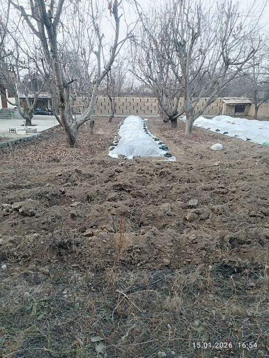 Uyimdan boʻsh yer sotiladi.