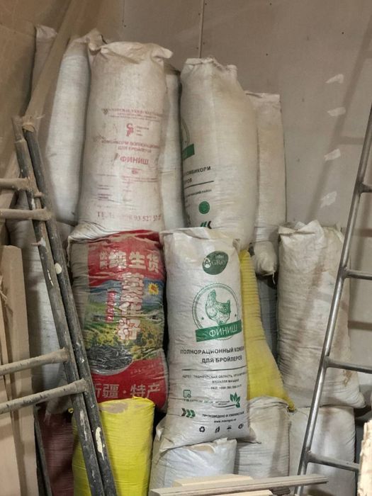 Апилка қуруқ йогочники