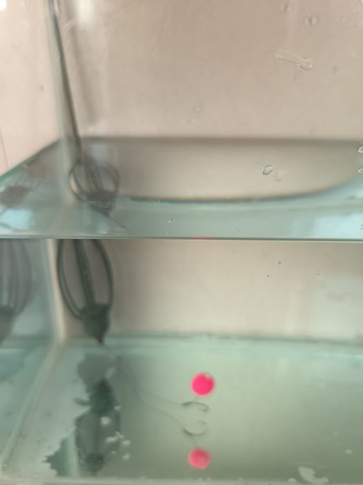 Montura crap, caras,plătică premium!