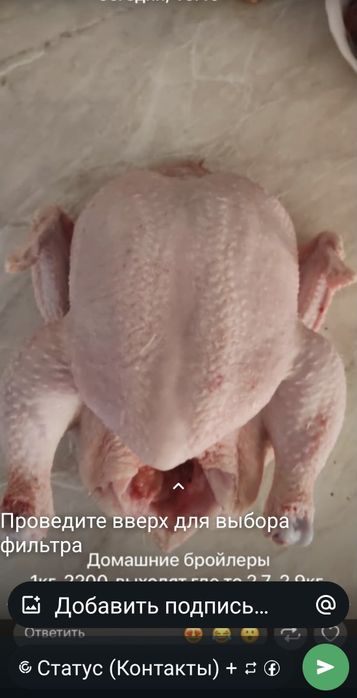 Тушки бройлерных курей