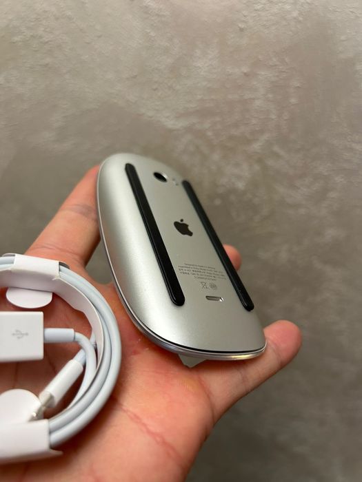 • Apple Magic Mouse 2 •