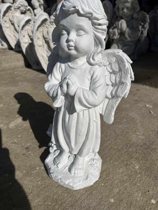 Ingerasi pereche baiat si fata