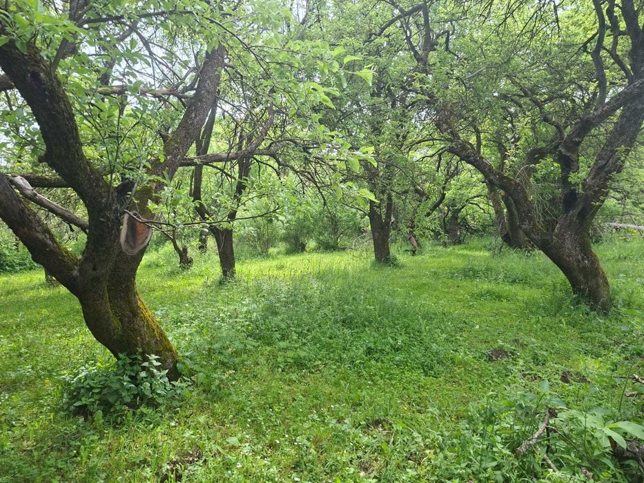 Teren intravilan sat Piatra, com. Stoenesti, jud. Arges