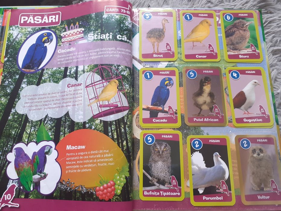 Gradinita de ANIMALE..clasor  editie 2015