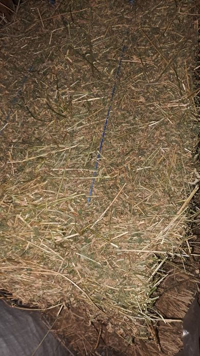 Vând baloți lucernă calitate superioara pret 35lei buc