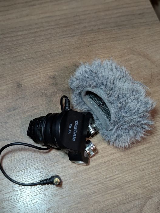 Microfon tascam tm 2x