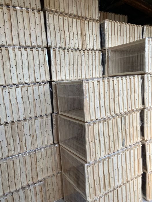 Rame tei ,   1/1 , 1/2, 3/4 insirmate montatate si capsate