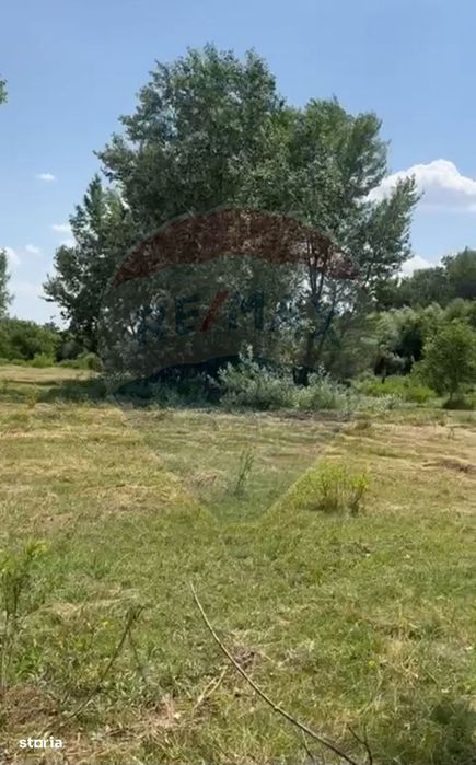 Teren-5000mp DN Ganeasa,sat Sindrilita,T9/Parcela 32/37