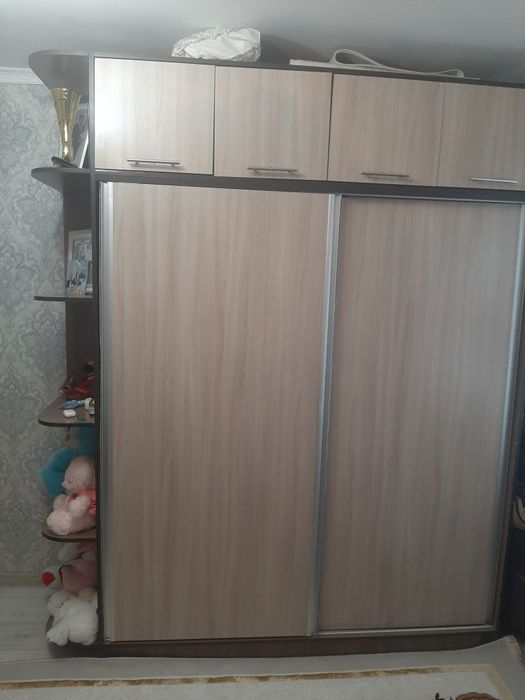 Шкаф про макс  17