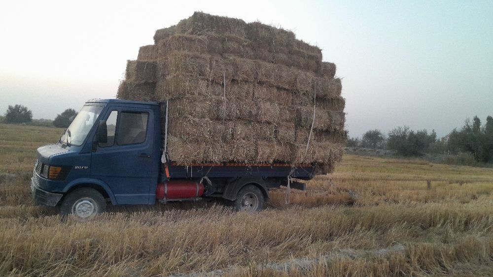 Mers samasval sotiladi