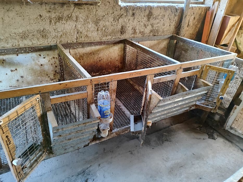 Клетки для содержания кроликов.