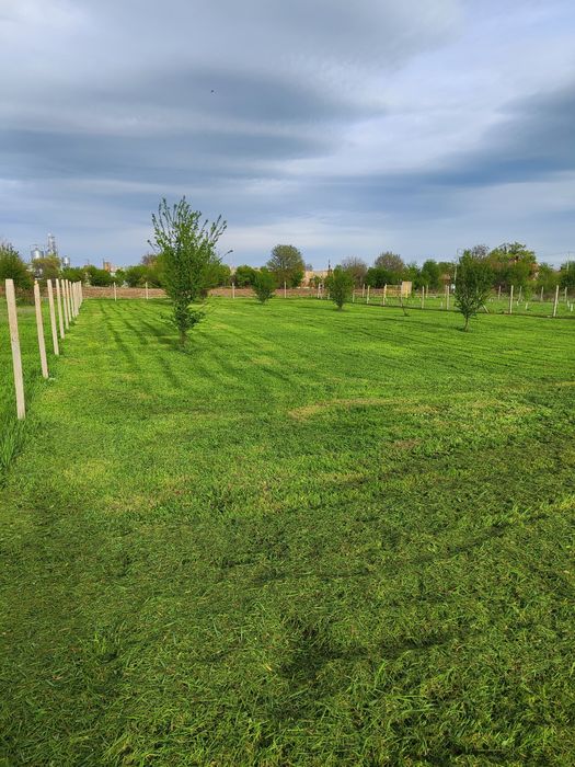 Продава се Парцел в Пордим - 1200 кв.м за 9 €/кв.м - Снимка #1