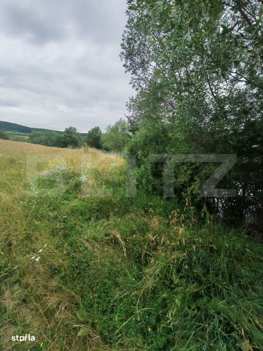 Teren  de vanzare – 20 ari, zona Sigmir