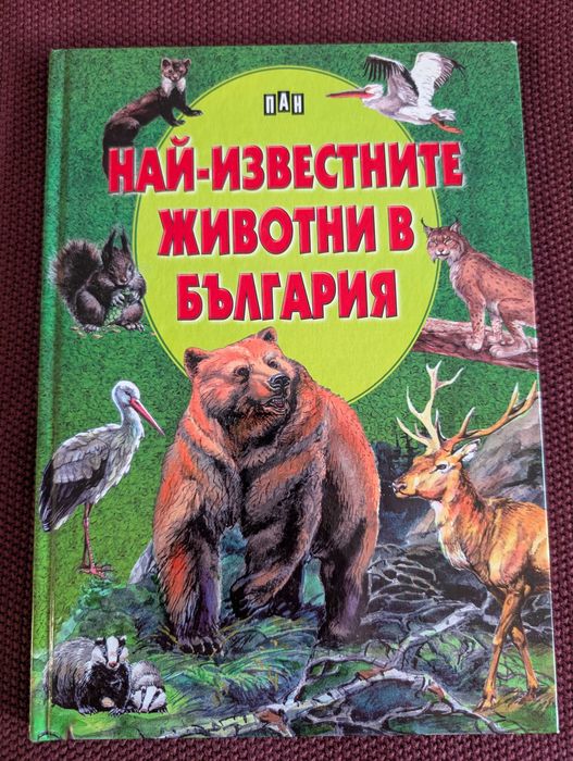 Детски енциклопедии - роботика, програмиране, животни