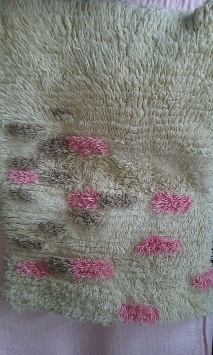 Подават се вълнени китеници