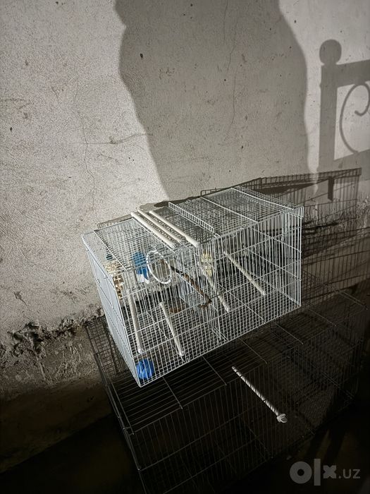 Valer + qafas ortasidan ajraladigon