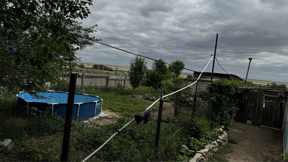 Продам КХ со скотом
