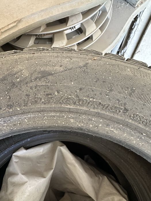 торус 15 зима лето