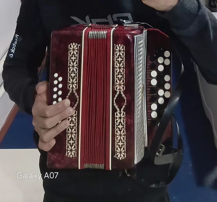 Detskiy Akkardeon