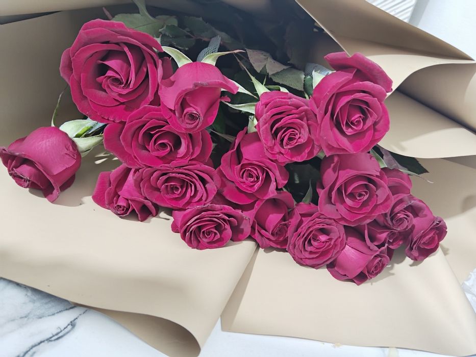 Цветый свежий роза