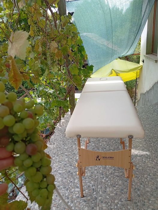 Масажна кушетка + книга