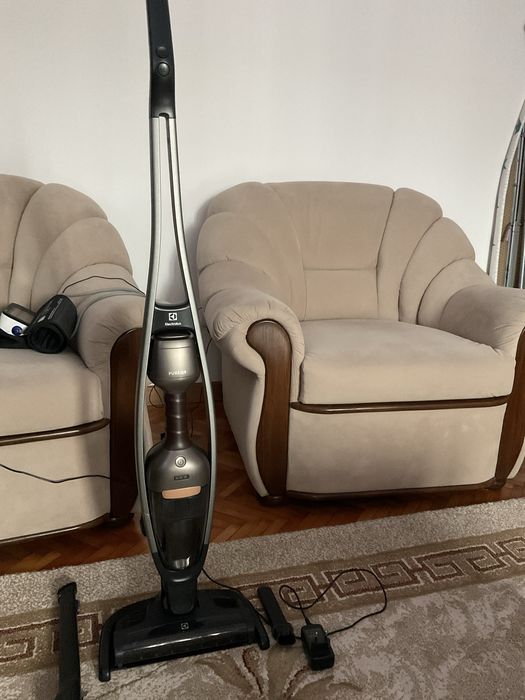Aspirator vertical ELECTROLUX Pure Q9
