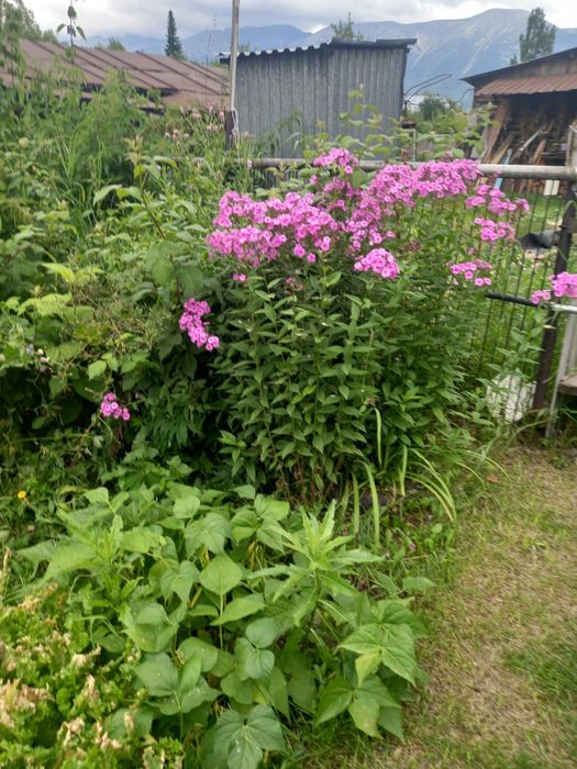 Продам земельный учпсток