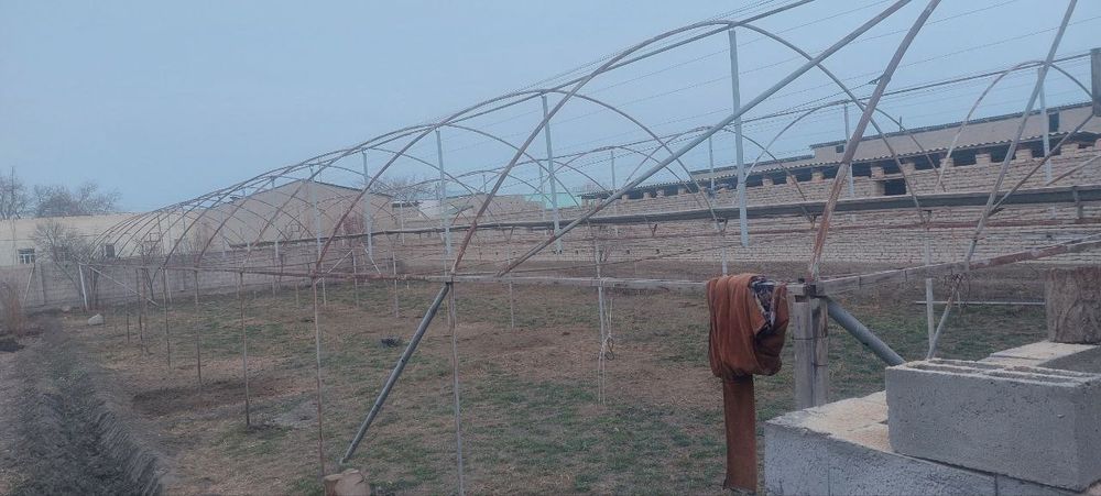 Теплитса  парник сотилади