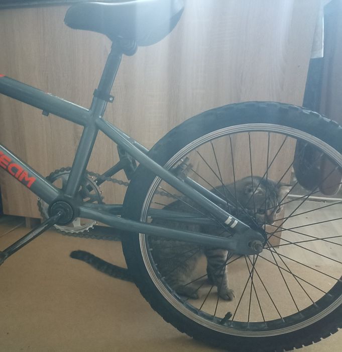 Bmx tech team 2023