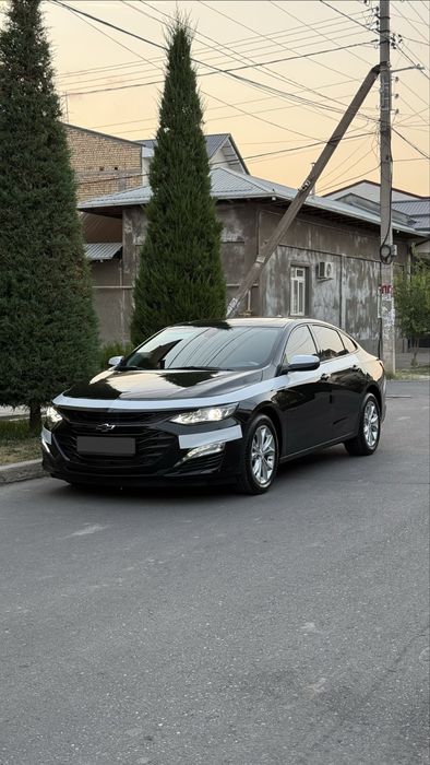 Malibu2 XL 2025 Kraska Toza