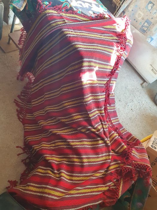 Diferite carpete oferta