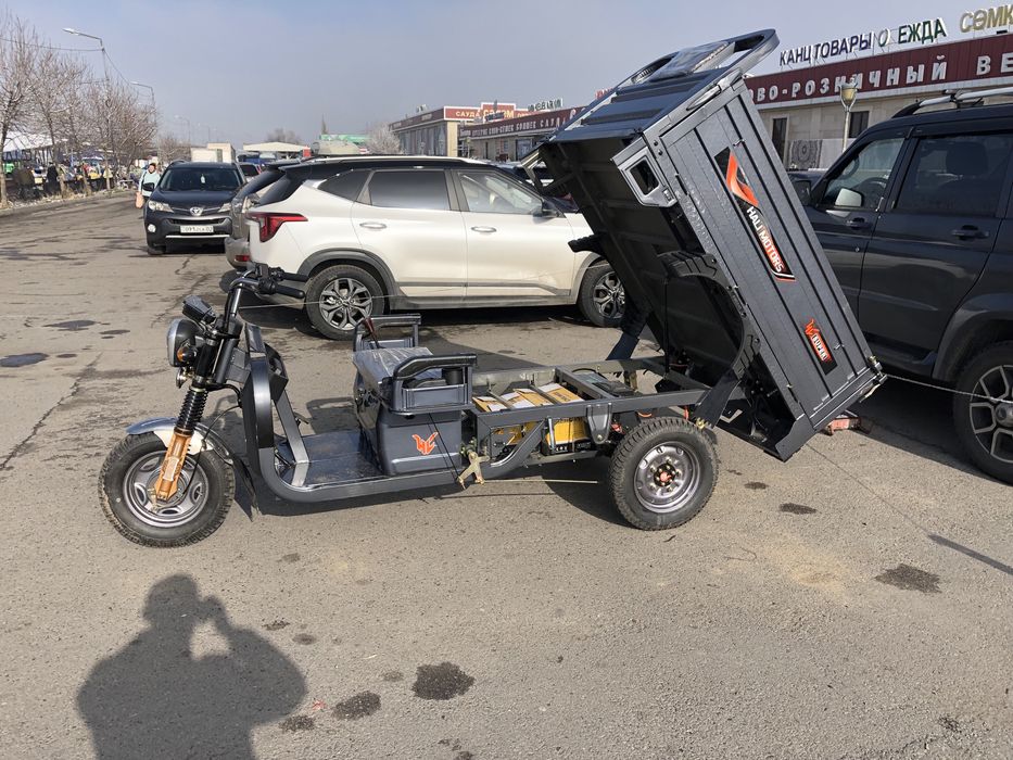 Электротрицикл Муравей Электро