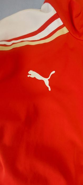 Мъжки екип -Пума