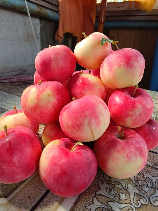 Продается дачный участок