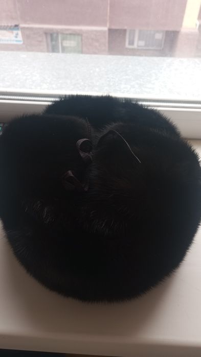 Шапка Зимняя Соболь