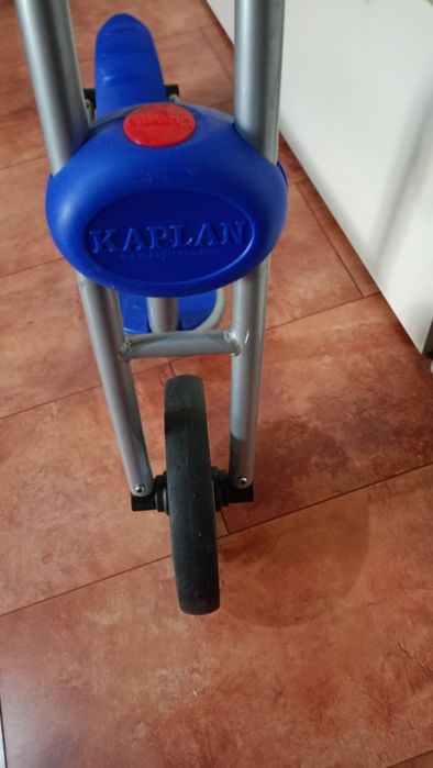 Trotineta robusta Kaplan