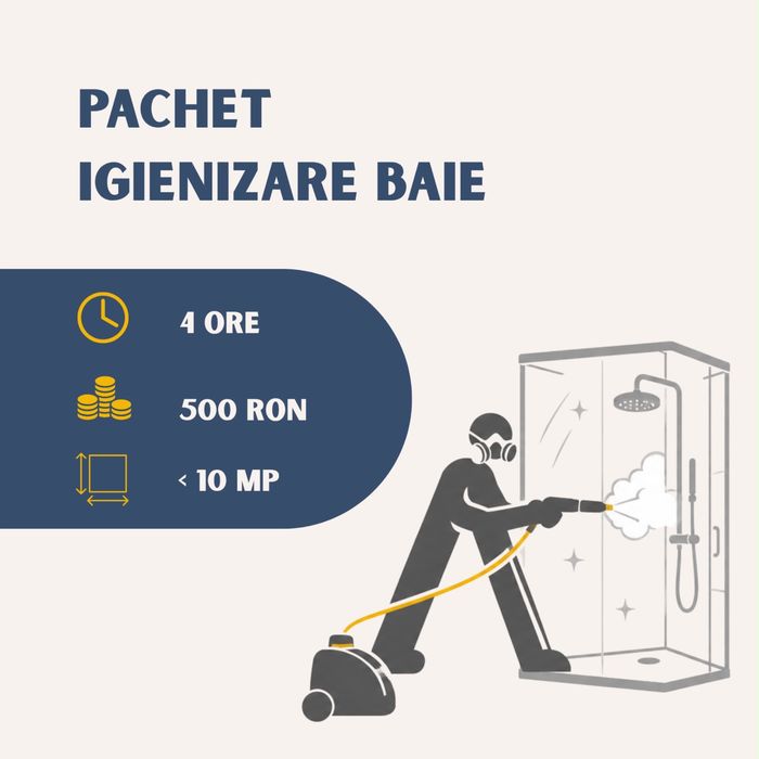 Pachet Igienizare Baie - Cu Abur