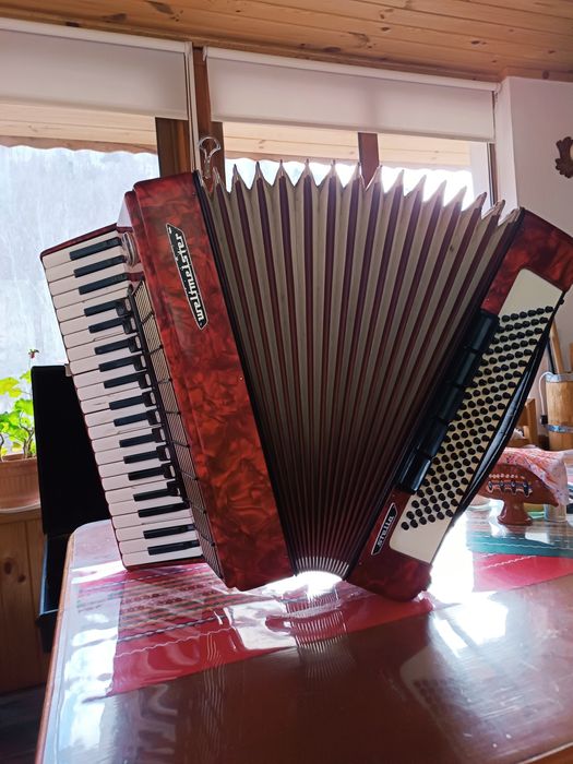 Акордеон 120 баса