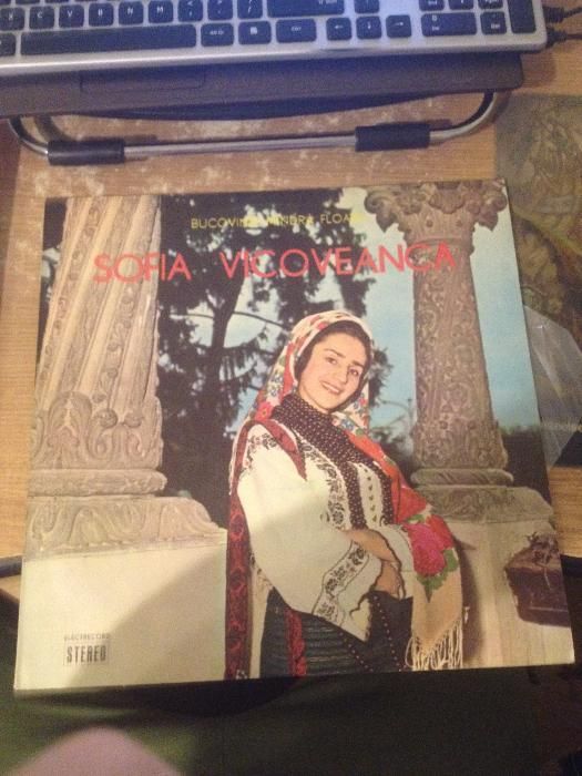 Vand diferite discuri vinyl(artisti romani 95%)