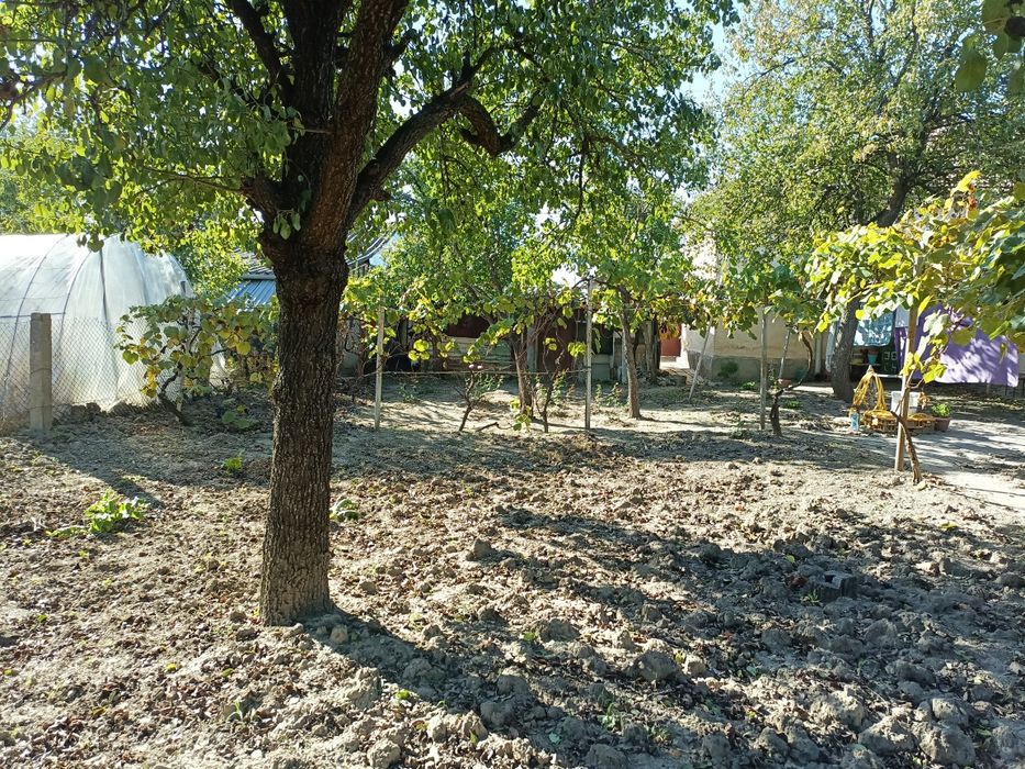 Proprietar vand Casă cu teren 1070m2  in Timișoara straza Muzicescu /girocului